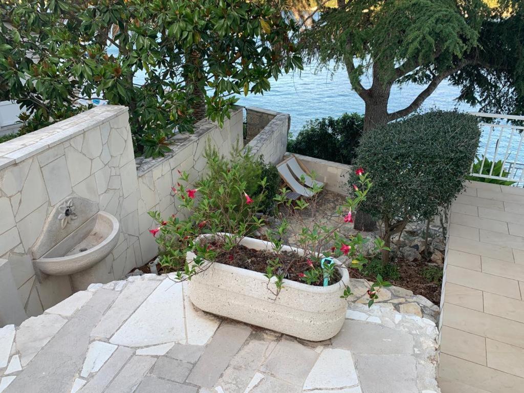 Studio Apartments More Korčula Zewnętrze zdjęcie