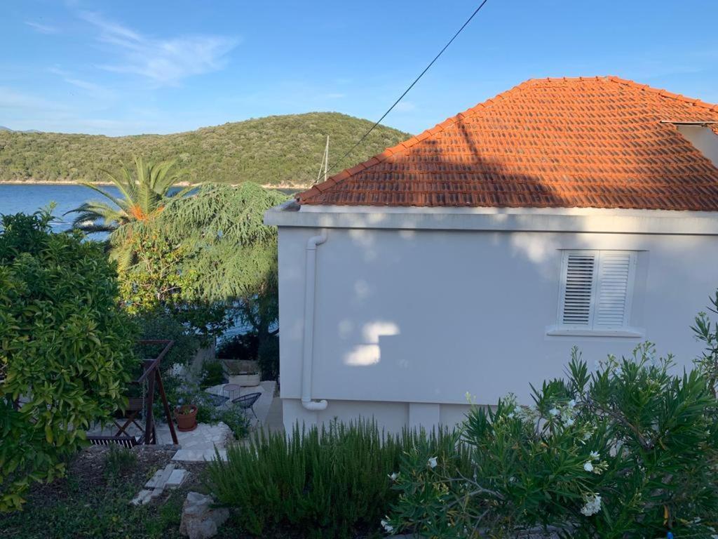 Studio Apartments More Korčula Zewnętrze zdjęcie